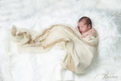Newborn Studio Photos