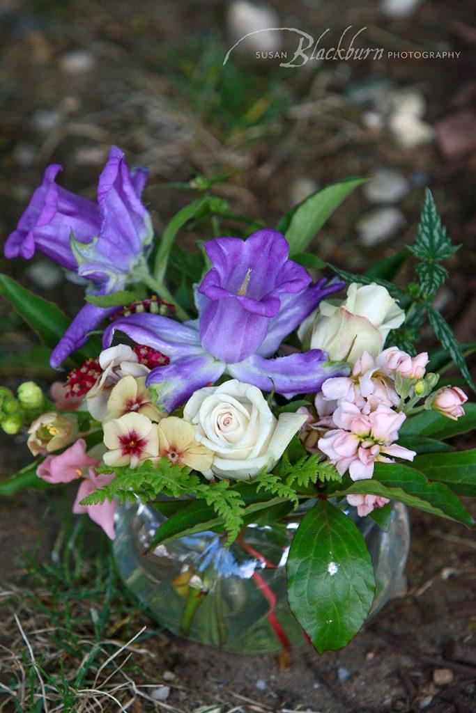 Saratoga Backyard Microwedding