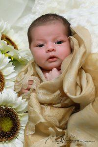 Newborn Photo Session