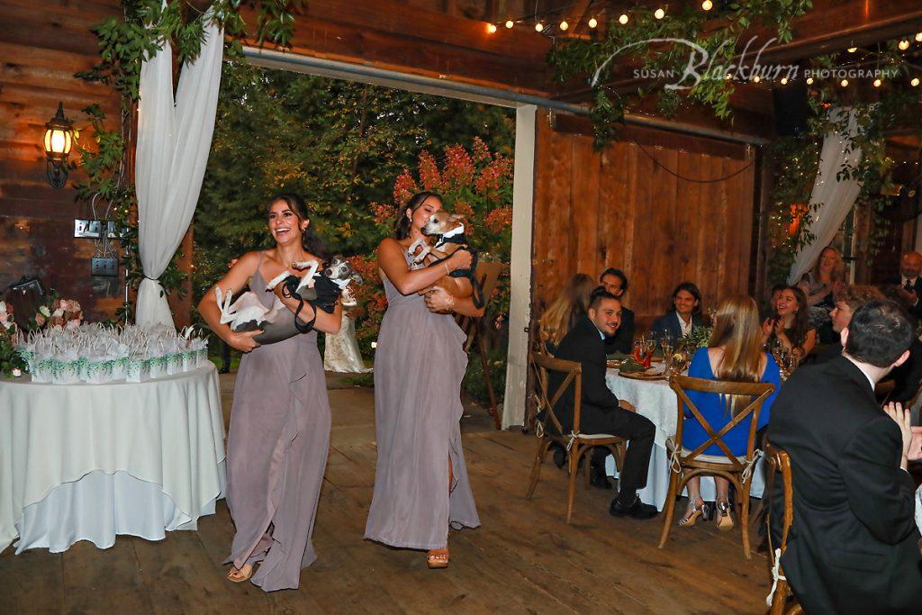 Rustic Barn Wedding Reception Intro